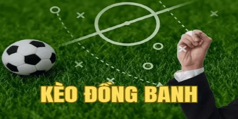 Biểu đồ tỷ lệ thắng kèo chấp đồng banh